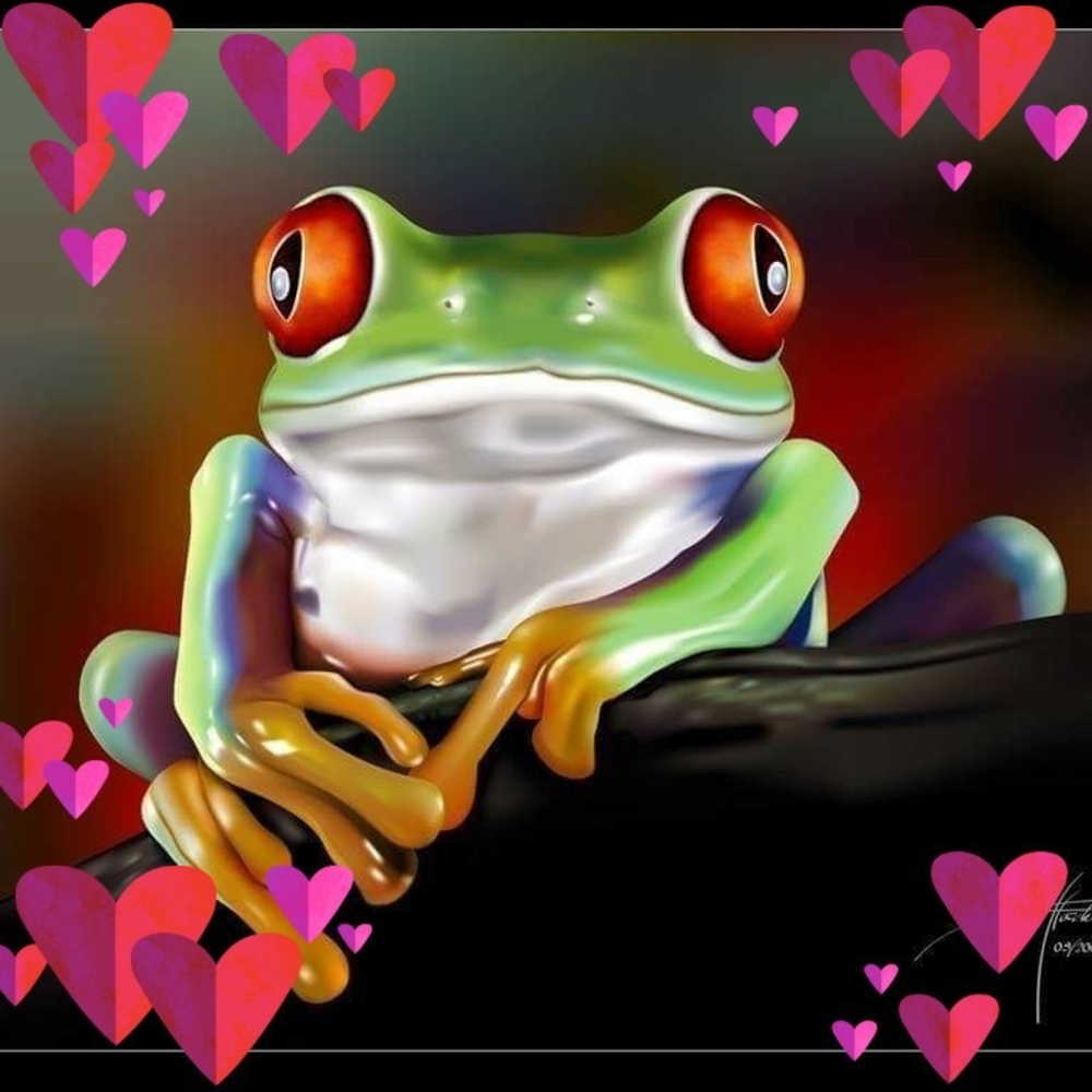 Meet your Posher, Connie